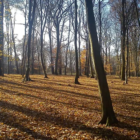 Chodov Apartament *