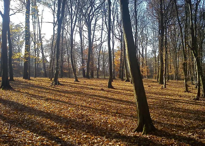 Chodov Lägenhet *